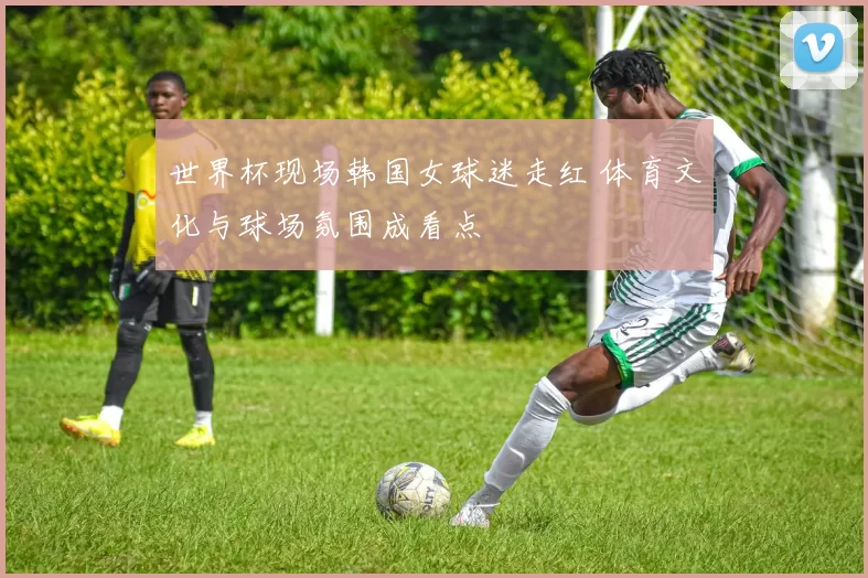 世界杯现场韩国女球迷走红 体育文化与球场氛围成看点
