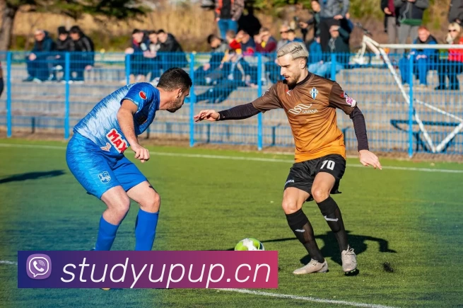 BETWAY官网 - BETWAY(中国)一站式服务官网平台生态图